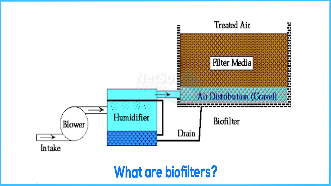 What is a Bio Alkaline Filter and How Does It Work?