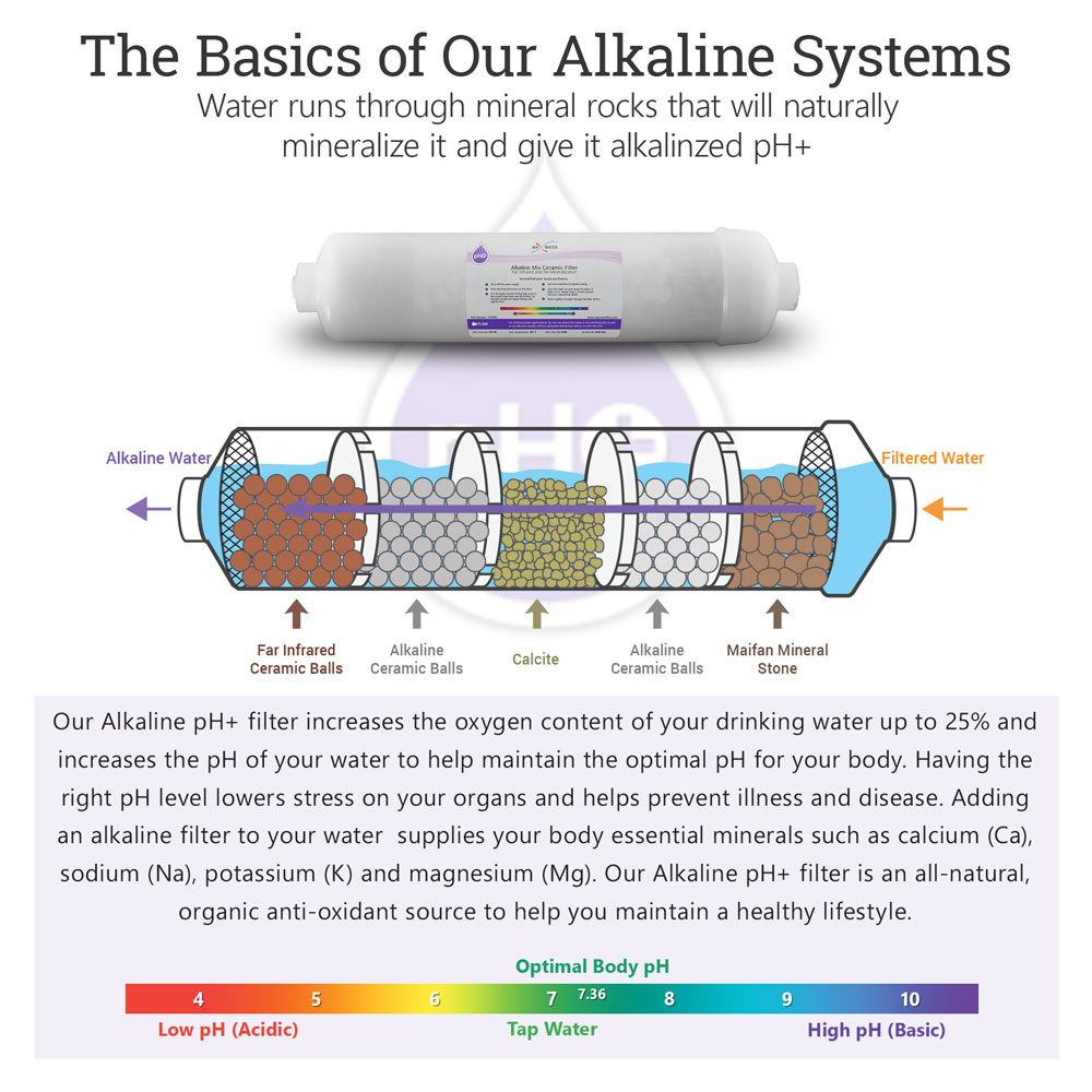 What is a Bio Alkaline Filter and How Does It Work?