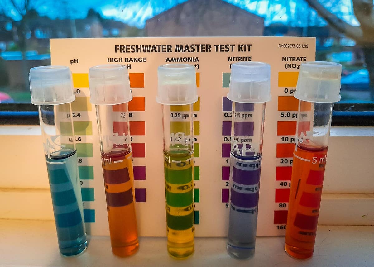 How to Test Water Quality with Filters in Johor Bahru