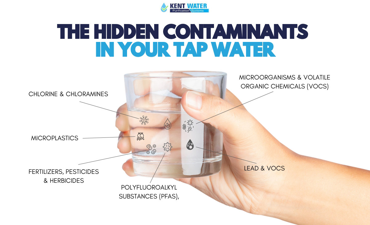 What Contaminants Can a Water Filter Remove?