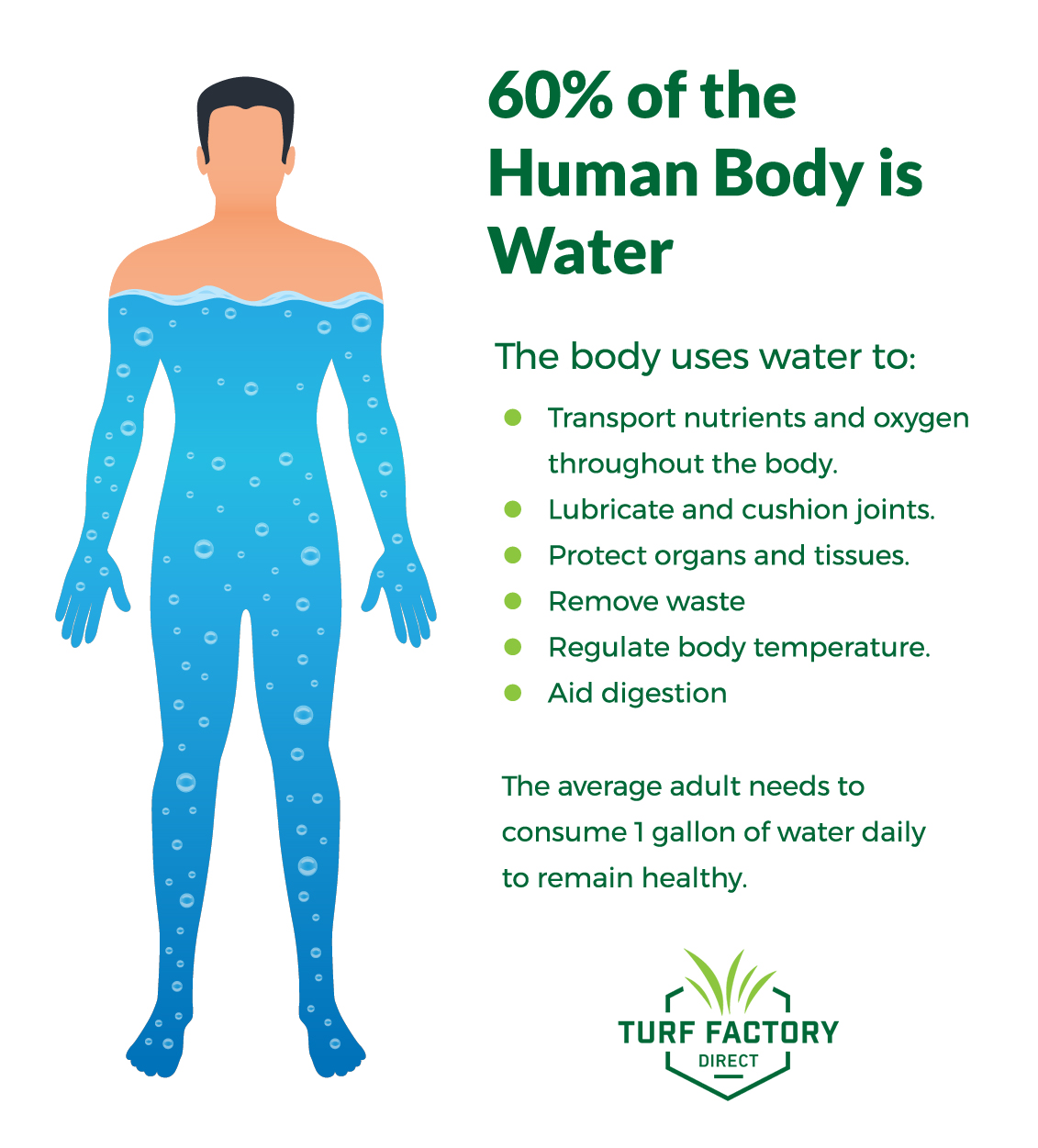 Why Is Clean Water Crucial for Human Survival?