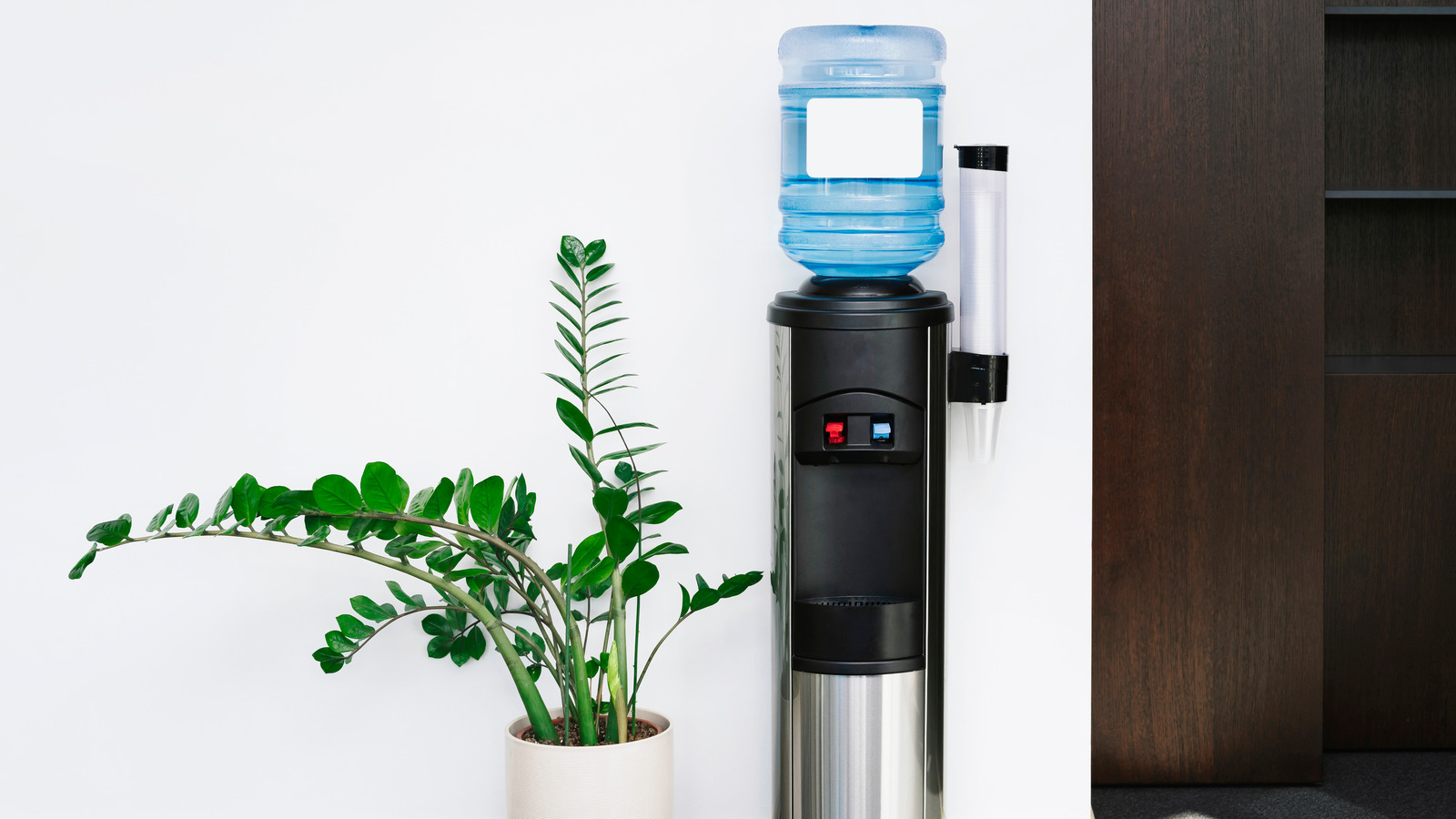 Why Should I Use a Dispenser in My Kitchen?